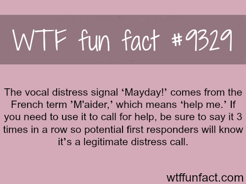 stadium australia - Wtf fun fact The vocal distress signal Mayday!' comes from the French term 'M'aider,' which means 'help me.' If you need to use it to call for help, be sure to say it 3 times in a row so potential first responders will know it's a legi