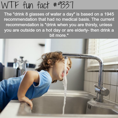 have water - Wtf fun fact The "drink 8 glasses of water a day" is based on a 1945 recommendation that had no medical basis. The current recommendation is "drink when you are thirsty, unless you are outside on a hot day or are elderly then drink a bit more