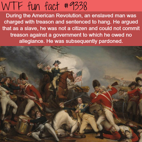 america revolution - Wtf fun fact During the American Revolution, an enslaved man was charged with treason and sentenced to hang. He argued, that as a slave, he was not a citizen and could not commit treason against a government to which he owed no allegi
