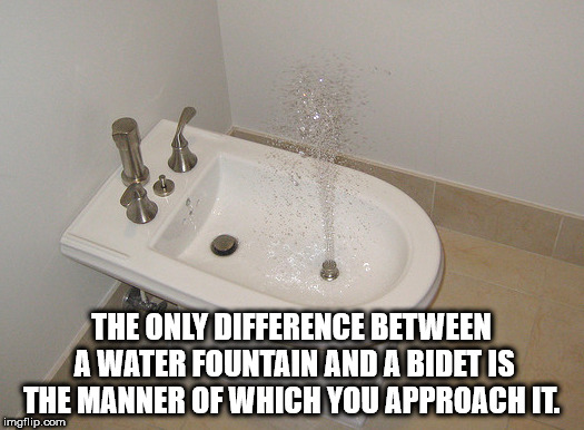 showerthoughts   - third world success kid - The Only Difference Between A Water Fountain And A Bidet Is The Manner Of Which You Approach It. imgflip.com