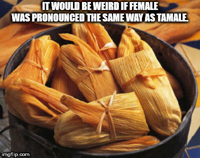 showerthoughts   - typical food in guatemala - It Would Be Weird If Female Was Pronounced The Same Way As Tamale. imgflip.com