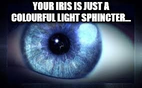 showerthoughts   - close up - Your Iris Is Just A Colourful Light Sphincter.