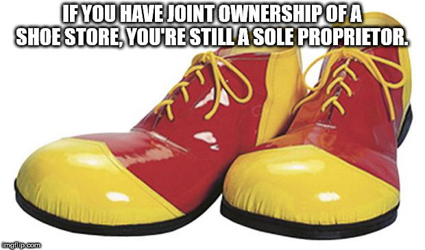 showerthoughts   - big clown shoes - If You Have Joint Ownership Of A Shoe Store You'Re Still A Sole Proprietor. imgflip.com