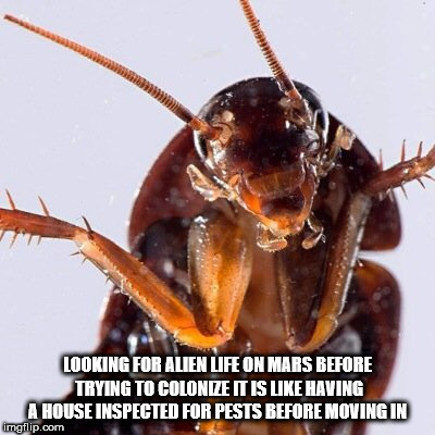 showerthoughts   - disgusting cockroach - Looking For Alien Life On Mars Before Trying To Colonize It Is Having A House Inspected For Pests Before Moving In imgflip.com