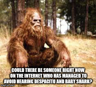showerthoughts   - bigfoot happy birthday - Could There Be Someone Right Now On The Internet Who Has Managed To Avoid Hearing Despacito And Baby Shark imgflip.com