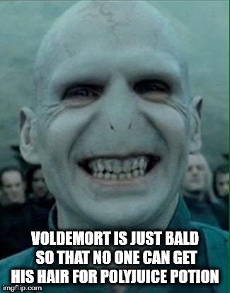 showerthoughts   - ralph fiennes films - Voldemort Is Just Bald So That No One Can Get His Hair For Polyjuice Potion imgflip.com