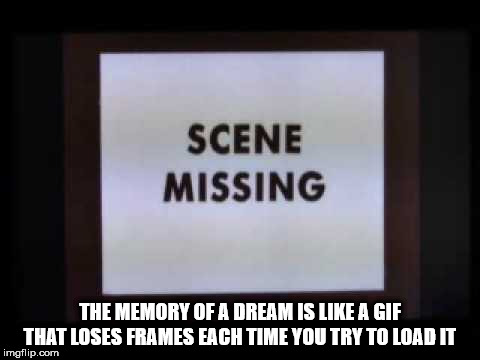 showerthoughts   - photo caption - Scene Missing The Memory Of A Dream Is A Gif That Loses Frames Each Time You Try To Load It imgflip.com