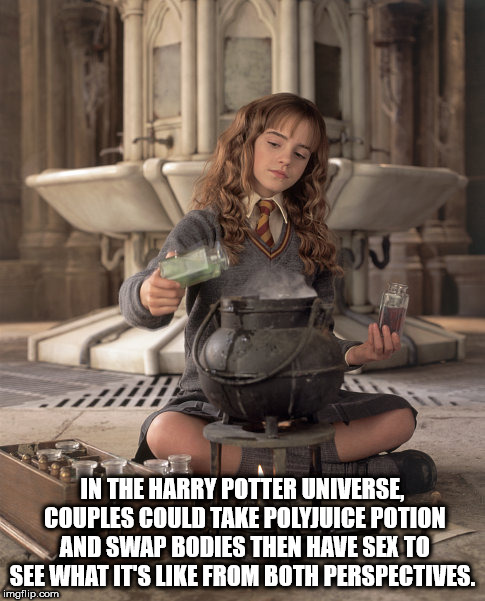 hermione granger - In The Harry Potter Universe Couples Could Take Polyjuice Potion And Swap Bodies Then Have Sex To See What It'S From Both Perspectives. imgflip.com