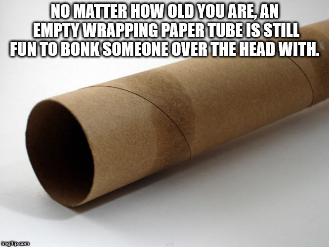 paper - No Matter How Old You Are An Empty Wrapping Paper Tube Is Still Fun To Bonk Someone Over The Head With. imgilip.com