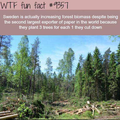 forestation and deforestation - Wtf fun fact Sweden is actually increasing forest biomass despite being the second largest exporter of paper in the world because they plant 3 trees for each 1 they cut down