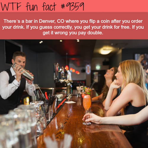 bar with people - Wtf fun fact There's a bar in Denver, Co where you flip a coin after you order your drink. If you guess correctly, you get your drink for free. If you get it wrong you pay double.