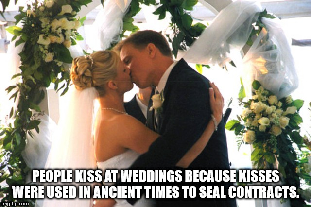 you may kiss the bride - People Kiss At Weddings Because Kisses Were Used In Ancient Times To Seal Contracts. imgflip.com
