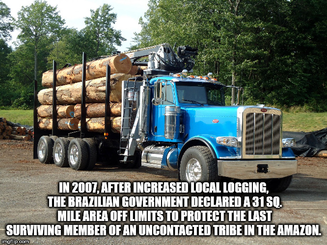 peterbilt logging trucks - In 2007. After Increased Local Logging. The Brazilian Government Declared A 31 Sq. Mile Area Off Limits To Protect The Last Surviving Member Of An Uncontacted Tribe In The Amazon. imgflip.com
