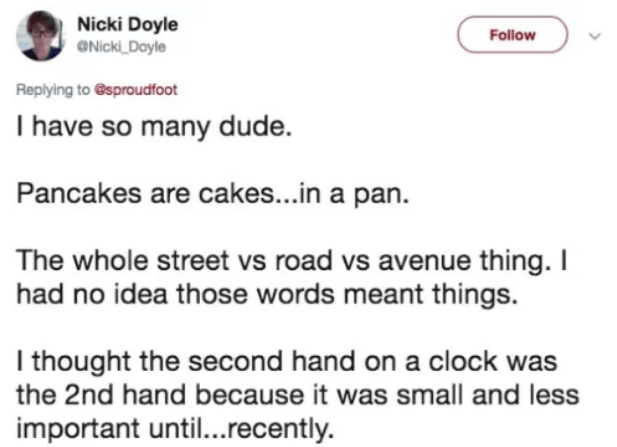 document - Nicki Doyle I have so many dude. Pancakes are cakes...in a pan. The whole street vs road vs avenue thing. I had no idea those words meant things. I thought the second hand on a clock was the 2nd hand because it was small and less important…