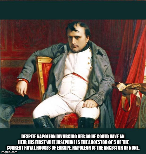 napoleon bonaparte funny - Seper Despite Napoleon Divorcing Her So He Could Have An Heir, His First Wife Josephine Is The Ancestor Of 5 Of The Current Royal Houses Of Europe, Napoleon Is The Ancestor Of None imgflip.com