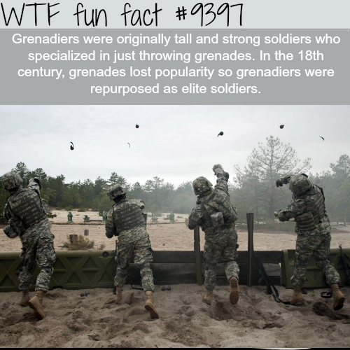grenade throw - Wtf fun fact Grenadiers were originally tall and strong soldiers who specialized in just throwing grenades. In the 18th century, grenades lost popularity so grenadiers were repurposed as elite soldiers.