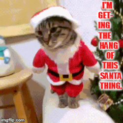 memes - cat santa costume - I'M Get Sing Hang Of This Santa Thing. Imgflip.com