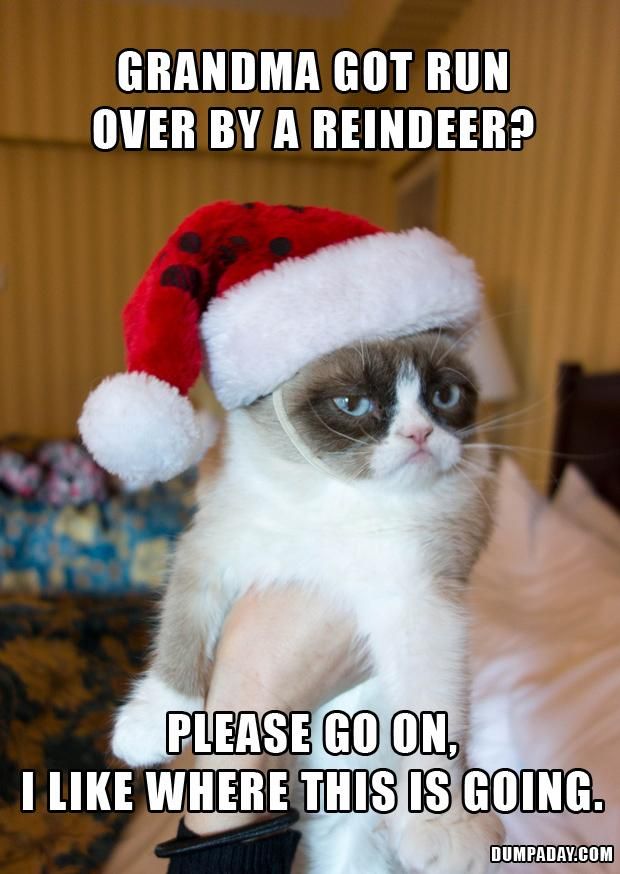 memes - grumpy cat funny memes - Grandma Got Run Over By A Reindeer? Please Go On I Where This Is Going. Dumpaday.Com