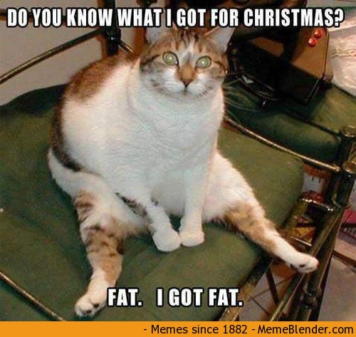 memes - merry christmas funny meme - Do You Know What I Got For Christmas? Fat. I Got Fat. Memes since 1882 MemeBlender.com