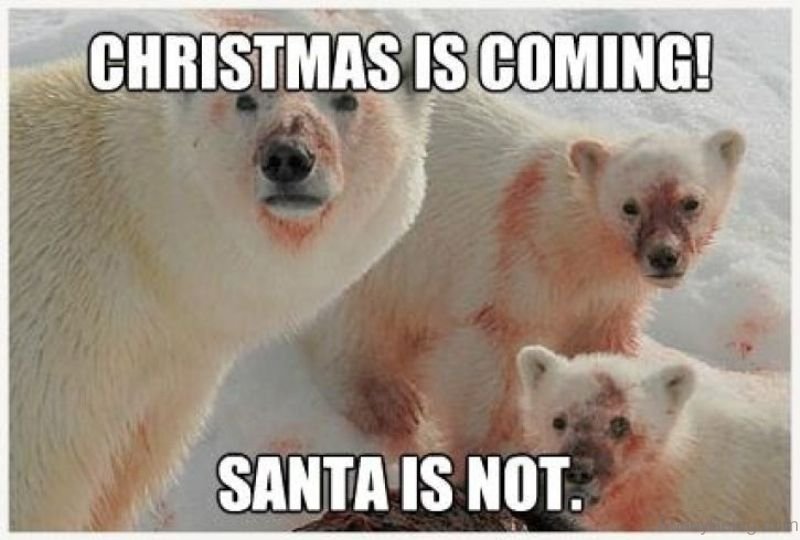 memes - christmas is coming santa is not - Christmas Is Coming! Santa Is Not.