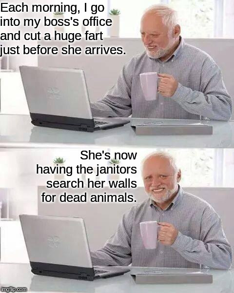 memes - hide the pain harold meme - Each morning, I go into my boss's office and cut a huge fart just before she arrives. She's now having the janitors search her walls for dead animals. imgflip.com
