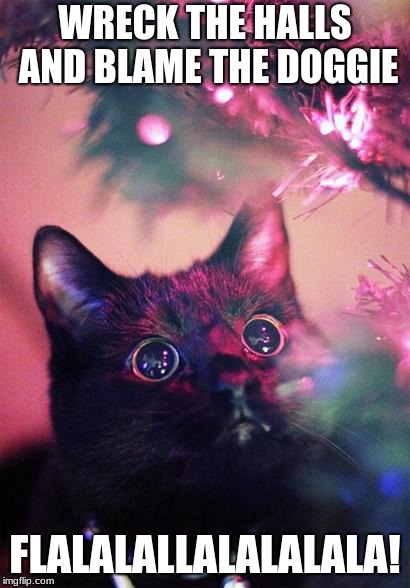 memes - cat staring at christmas tree - Wreck The Halls And Blame The Doggie Flalalallalalalala! imgflip.com
