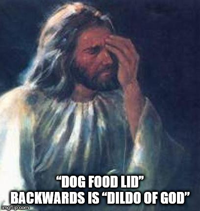 omfg you guys i said i hated figs - "Dog Food Lid" Backwards Is Dildo Of God" imgflip.com