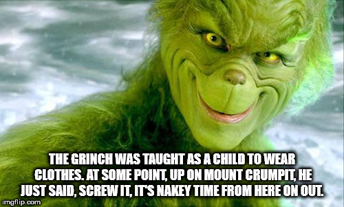 grinch real life - The Grinch Was Taught As A Child To Wear Clothes. At Some Point, Up On Mount Crumpit, He Just Said, Screw It. It'S Nakey Time From Here On Out. imgflip.com