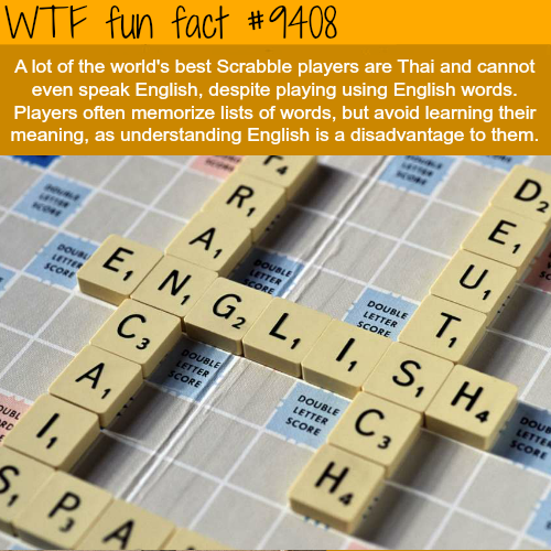 wtf facts - scrabble - Wtf fun fact A lot of the world's best Scrabble players are Thai and cannot even speak English, despite playing using English words. Players often memorize lists of words, but avoid learning their meaning, as understanding English i