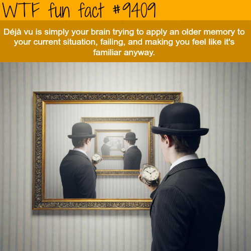 wtf facts - types of deja vu - Wtf fun fact Dj vu is simply your brain trying to apply an older memory to your current situation, failing, and making you feel it's familiar anyway.