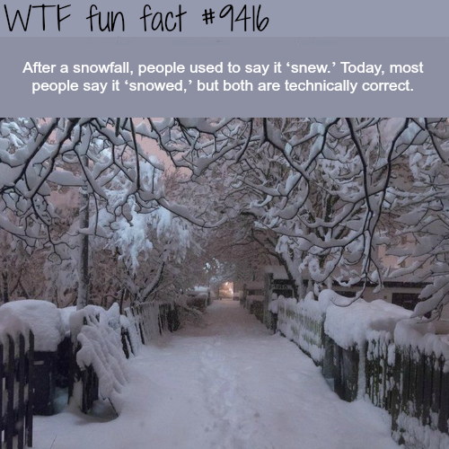 wtf facts - wtf fun facts about winter - Wtf fun fact After a snowfall, people used to say it'snew. Today, most people say it'snowed,' but both are technically correct.