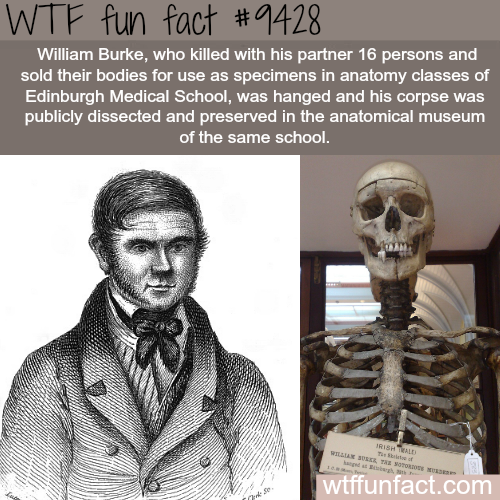 wtf facts - burke and hare - Wtf fun fact William Burke, who killed with his partner 16 persons and sold their bodies for use as specimens in anatomy classes of Edinburgh Medical School, was hanged and his corpse was publicly dissected and preserved in th