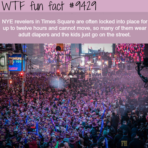 wtf facts - crowd - Wtf fun fact Nye revelers in Times Square are often locked into place for up to twelve hours and cannot move, so many of them wear adult diapers and the kids just go on the street. nesos Vyes