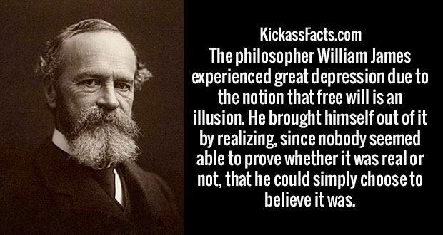 wtf facts - niagara falls - KickassFacts.com The philosopher William James experienced great depression due to the notion that free will is an illusion. He brought himself out of it by realizing, since nobody seemed able to prove whether it was real or no