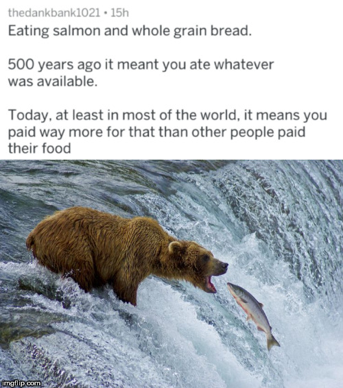swimming upstream - thedankbank1021.15h Eating salmon and whole grain bread. 500 years ago it meant you ate whatever was available. Today, at least in most of the world, it means you paid way more for that than other people paid their food imgflip.com