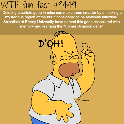 28 Fun Facts to Impress Your Friends