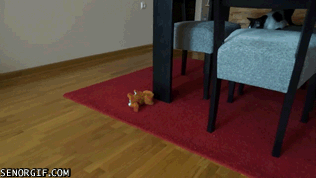 caturday gif of a cat play attacking a toy