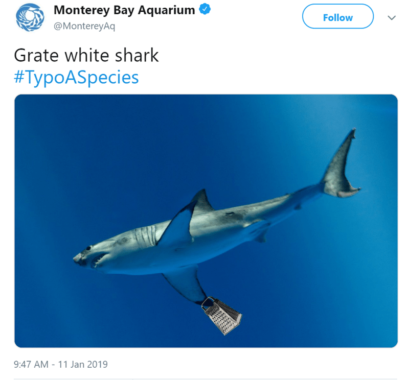 Typo A Species