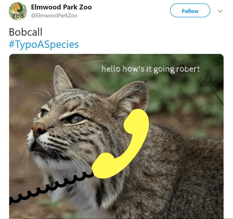 Typo A Species