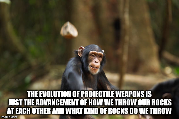 common chimpanzee - The Evolution Of Projectile Weapons Is Just The Advancement Of How We Throw Our Rocks At Each Other And What Kind Of Rocks Do We Throw imgflip.com