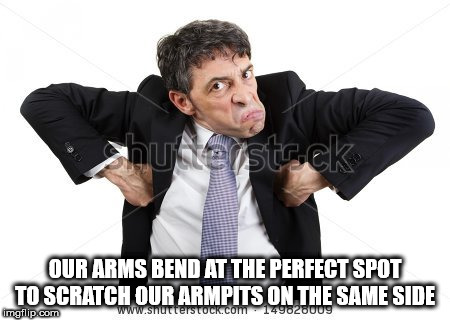 acting like a monkey - shutterstock Our Arms Bend At The Perfect Spot To Scratch Our Armpits On The Same Side moflip.com