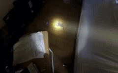 Caturday gif of a cat being rescued by a fire fighter