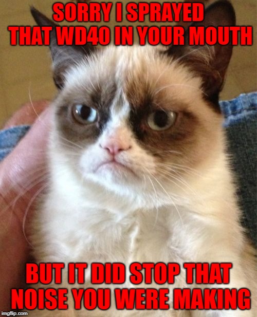 Caturday meme of grumpy cat shutting you up