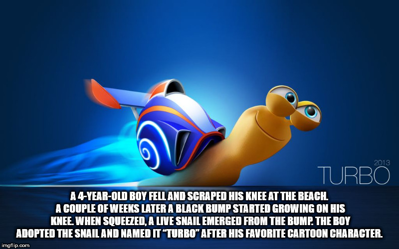 cartoon - Turbo A 4YearOld Boy Fell And Scraped His Knee At The Beach A Couple Of Weeks Later A Black Bump Started Growing On His Knee. When Squeezed, A Live Snail Emerged From The Bump. The Boy Adopted The Snail And Named It "Turbo" After His Favorite Ca