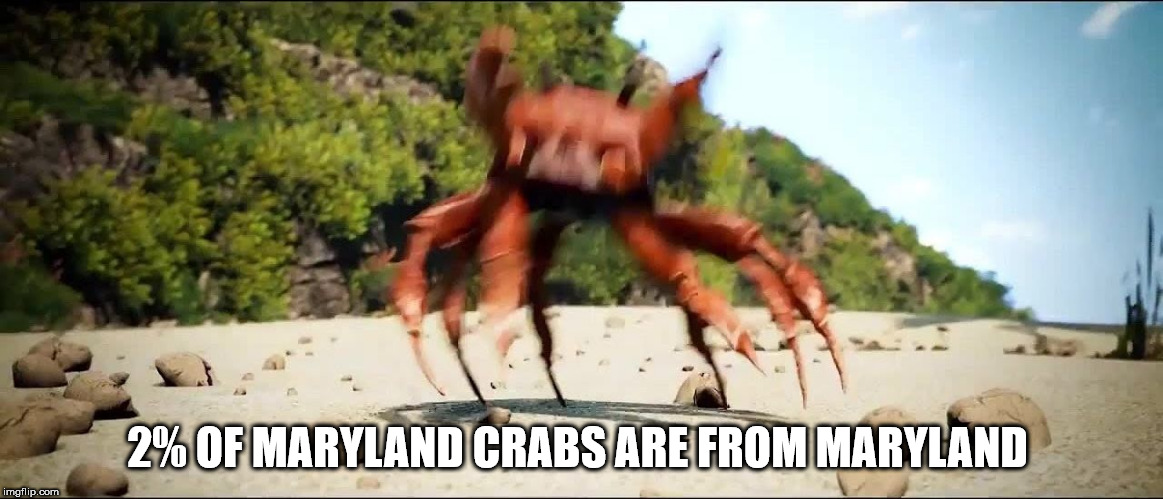 crab rave meme - 2% Of Maryland Crabs Are From Maryland imgflip.com