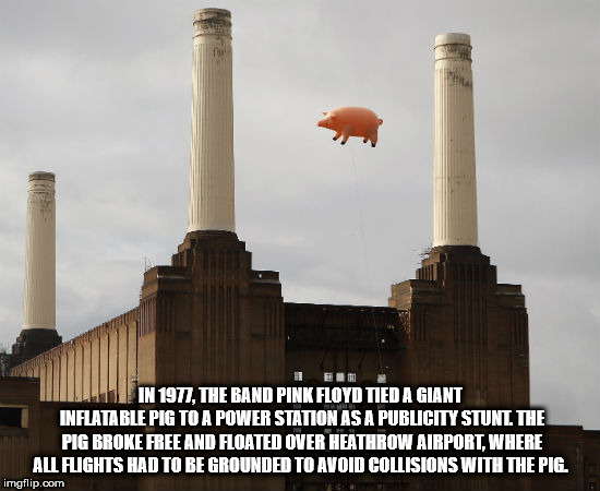 battersea power station - In 1977, The Band Pink Floyd Tied A Giant Inflatable Pig To A Power Station As A Publicity Stunt The Pig Broke Free And Floated Over Heathrow Airport, Where All Flights Had To Be Grounded To Avoid Collisions With The Pig. imgflip