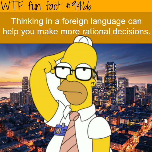 wtf fun facts about languages - Wtf fun fact Thinking in a foreign language can help you make more rational decisions.