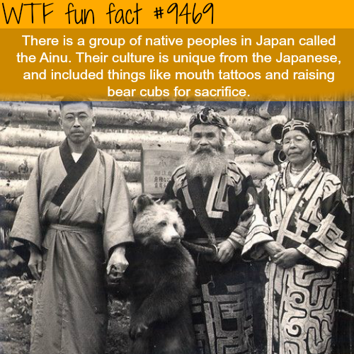 Wtf fun fact There is a group of native peoples in Japan called the Ainu. Their culture is unique from the Japanese, and included things mouth tattoos and raising bear cubs for sacrifice. chod
