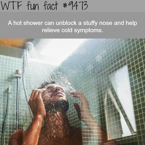 cold showers - Wtf fun fact A hot shower can unblock a stuffy nose and help relieve cold symptoms.