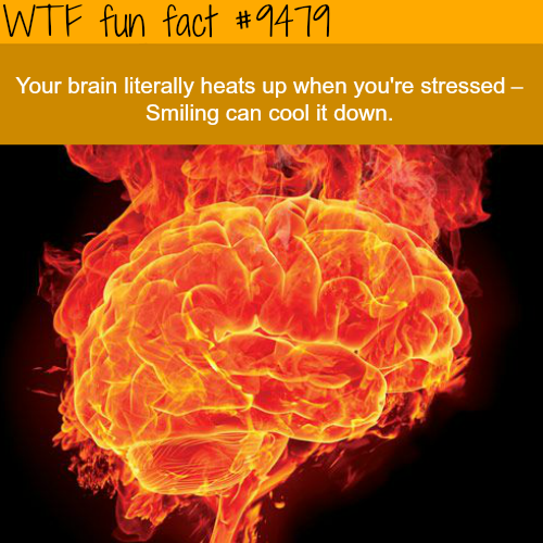 brain fire - Wtf fun fact Your brain literally heats up when you're stressed Smiling can cool it down.